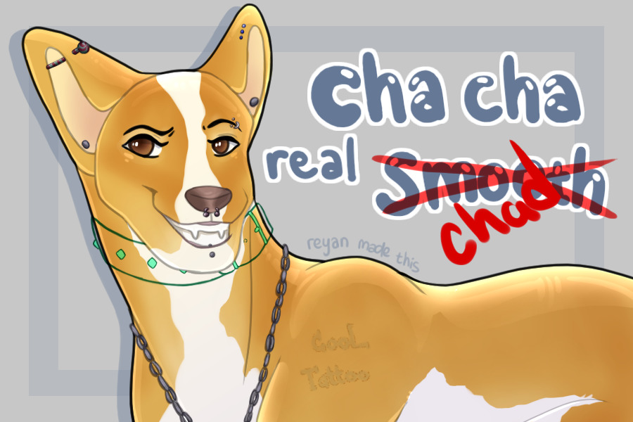 It's Chad time