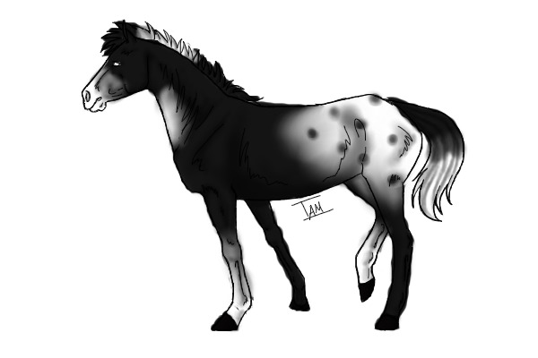 my entry :D