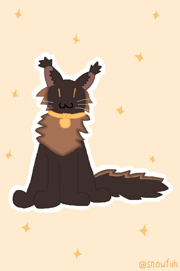 a fluffy cat
