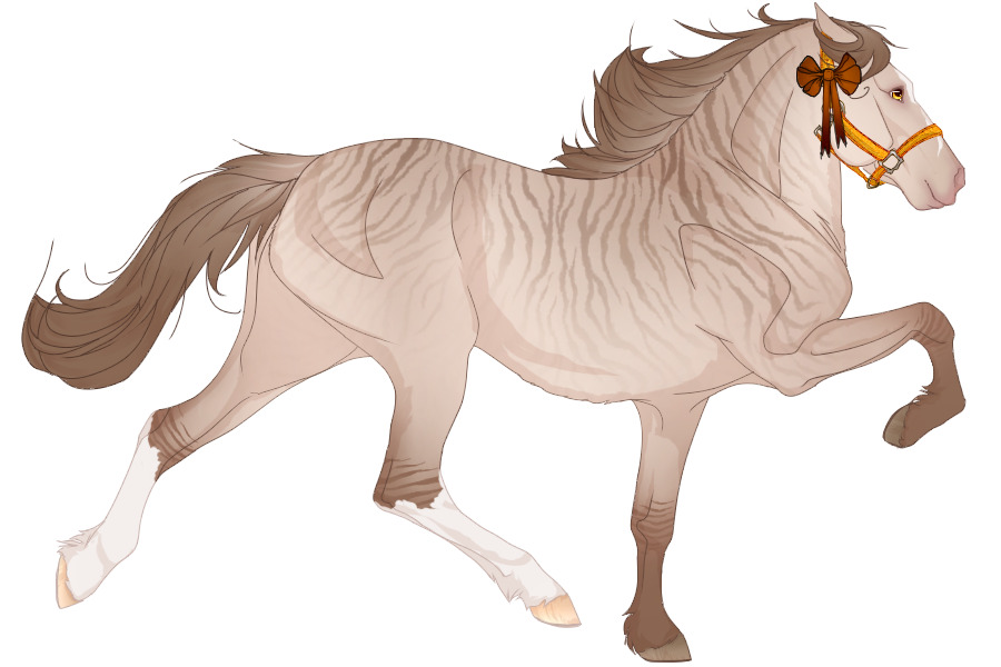TITA | #E045 - sable champagne dun brindle