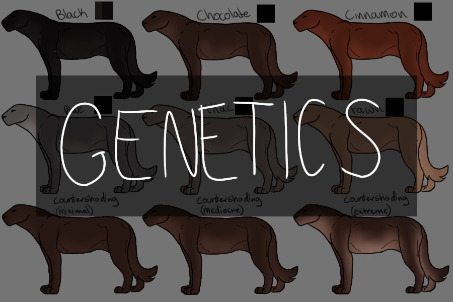 the gatherers | possible genetics
