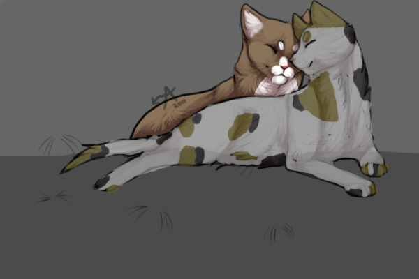 Cats! :}