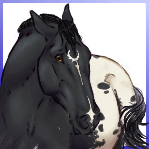 Appy avatar for MiraAppy