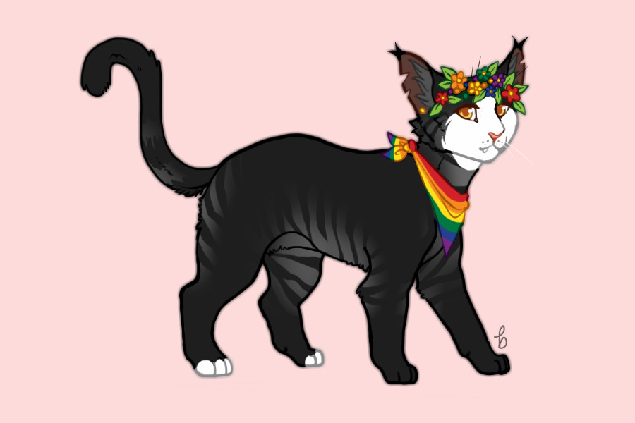 xem's pride cat // MYO3#077