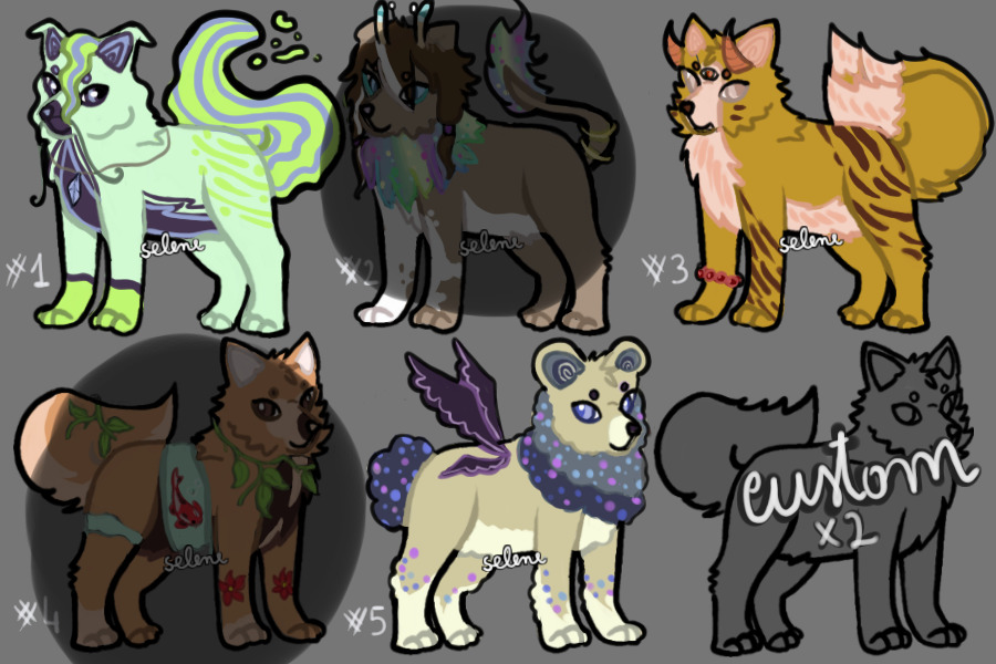Puppies adoptables ☀️ edited prices
