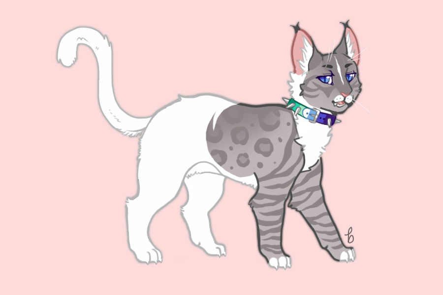 Wretched.Felidae pride cat // MYO3#071