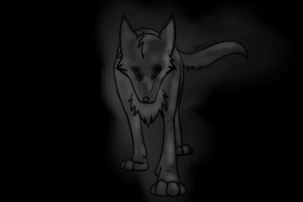 Ghost in the night...