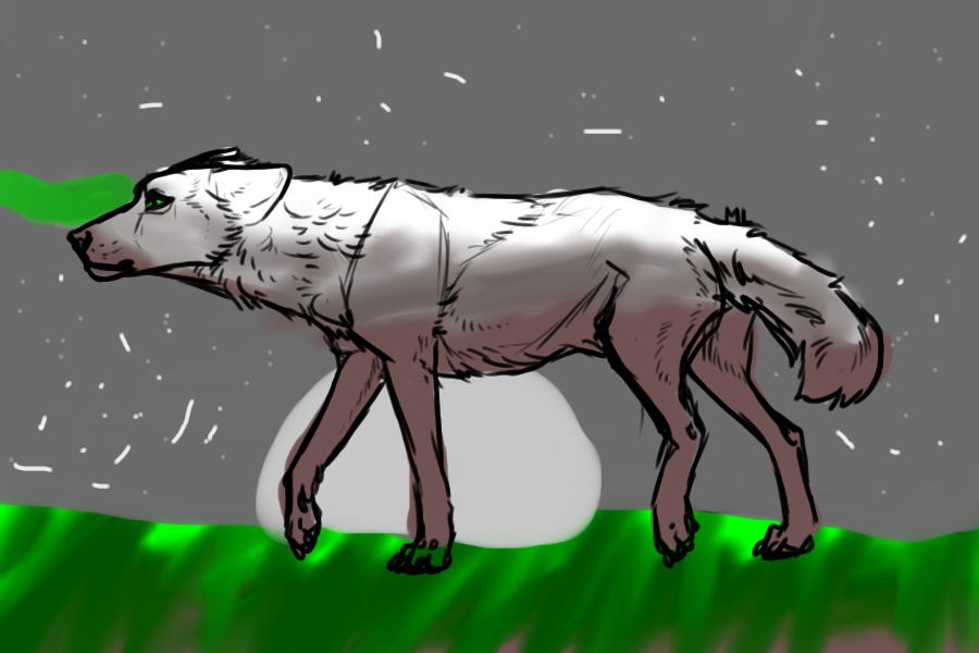 I see in the dark of wolves!