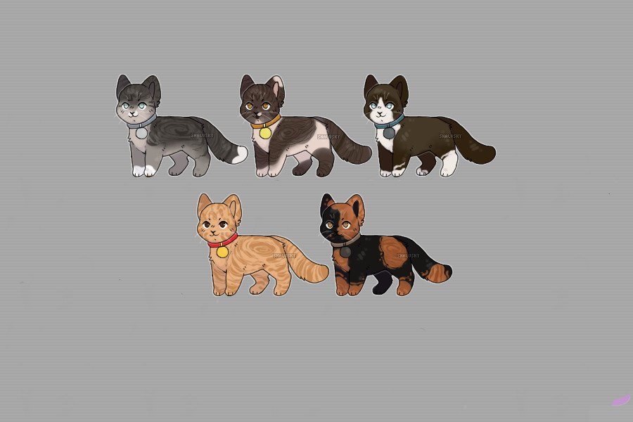 kitty adopts - closed