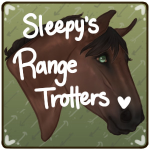 sleepy's range trotters