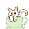 Cat in a Cup