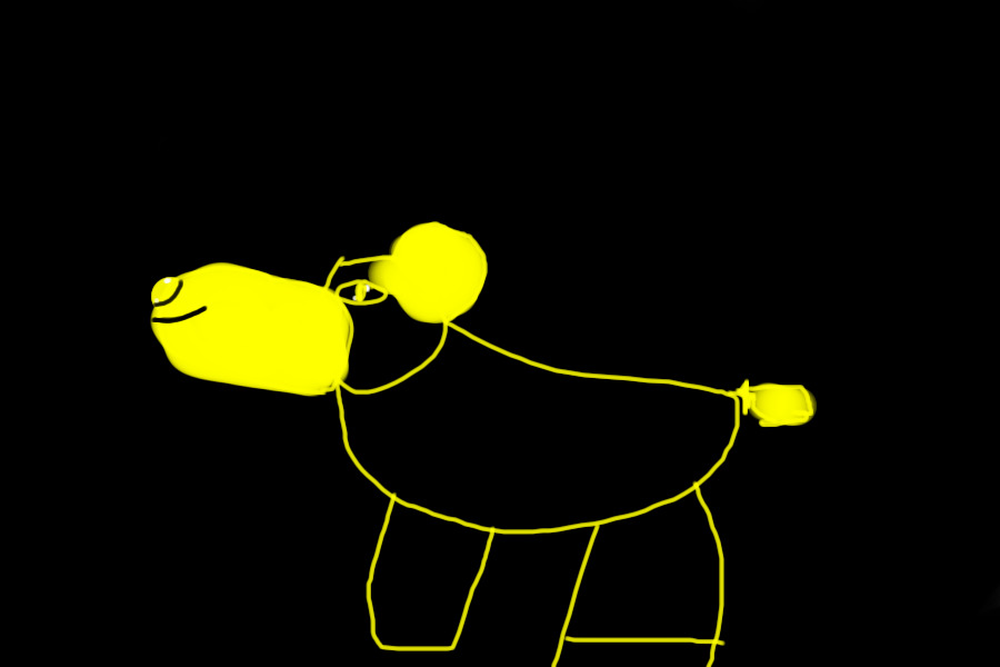 Its a bear????