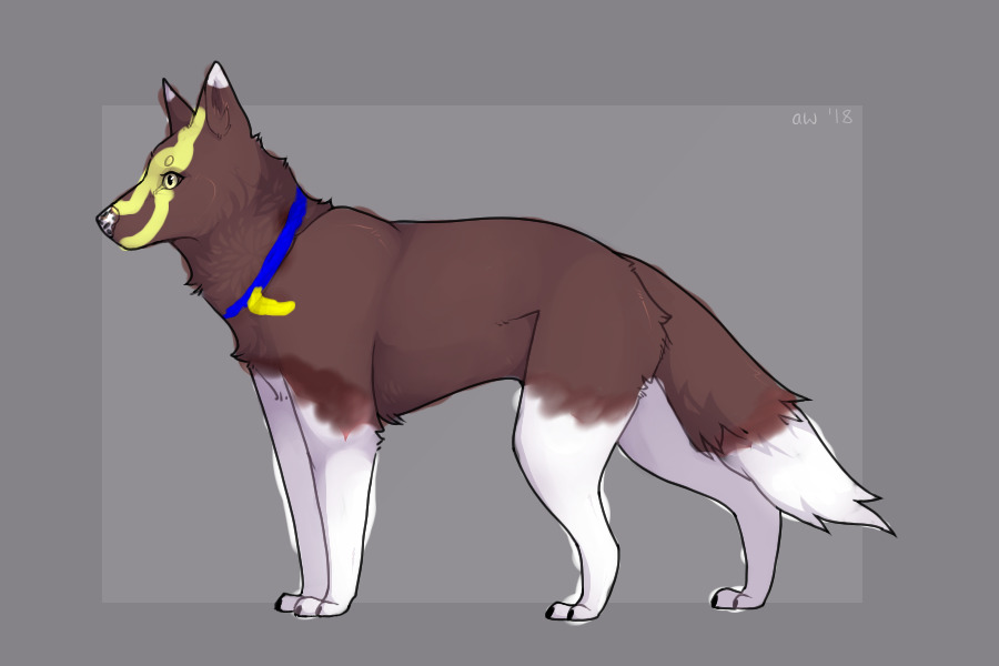 A moonlight wolf