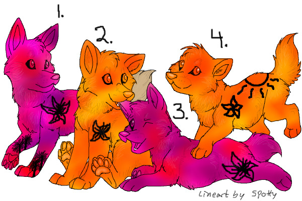 Tropical Litter