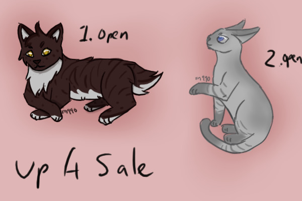 2 for sale Kitties