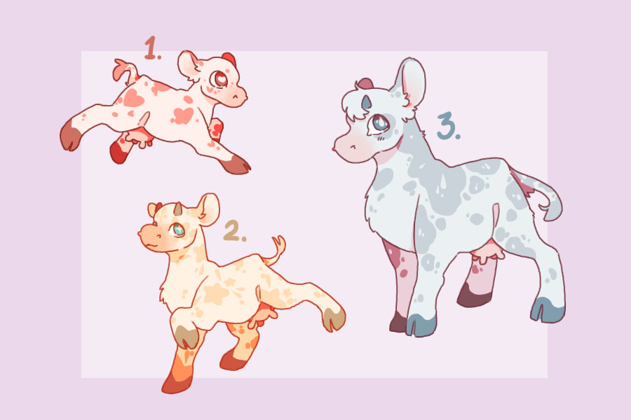 sweet little cow adopts