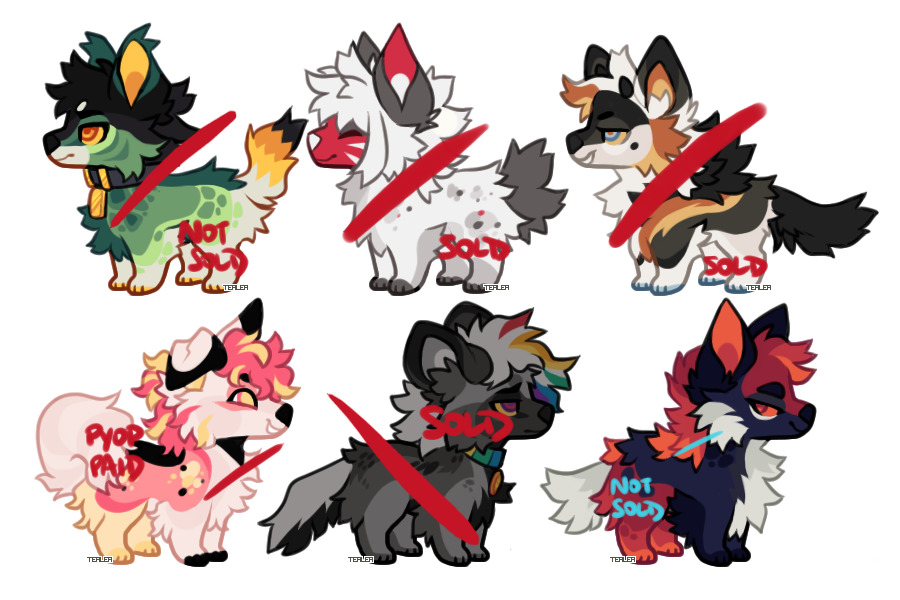 kage pups ufs