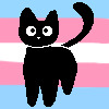 Trans cat! trans cat!