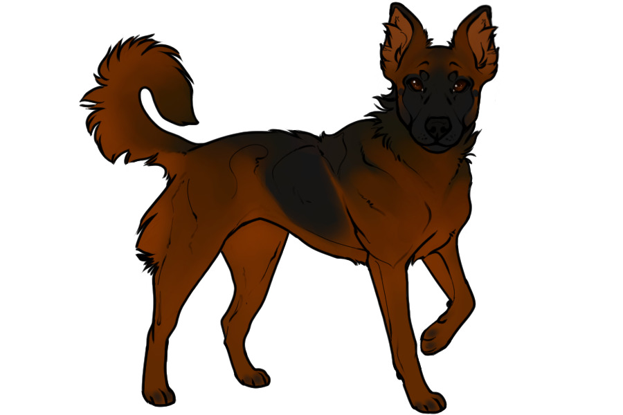 Beaumont Collie #512