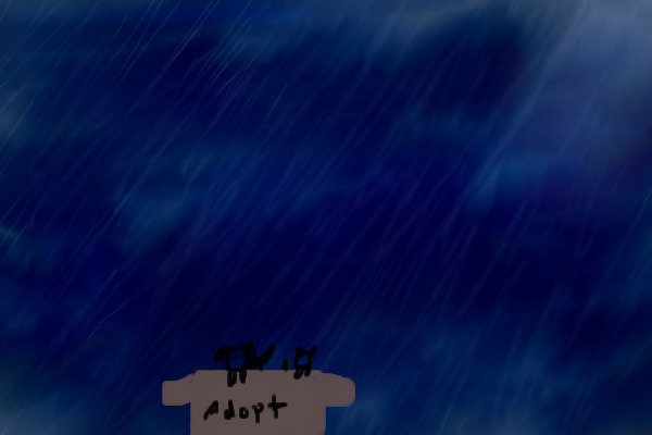 puppies for adoption,alone in the rain..