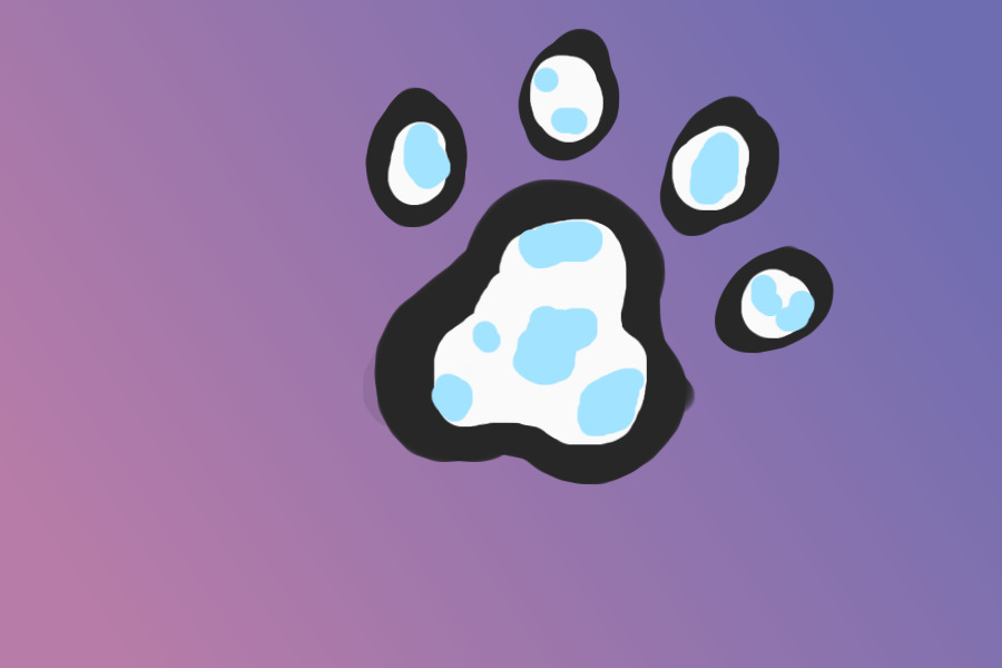 paw