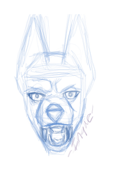 Canid sketch