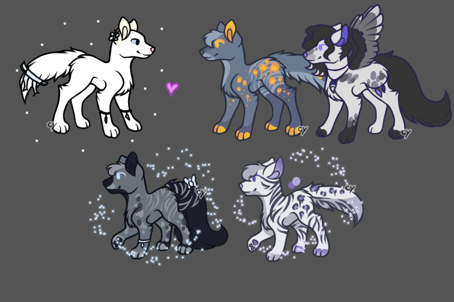 Litter for Spiritstar3