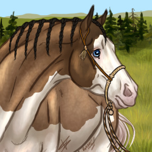 How's the BG?