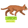 Sunbeam Icon!