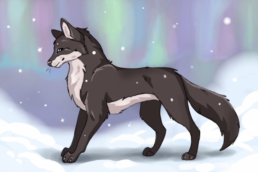 Snowfall