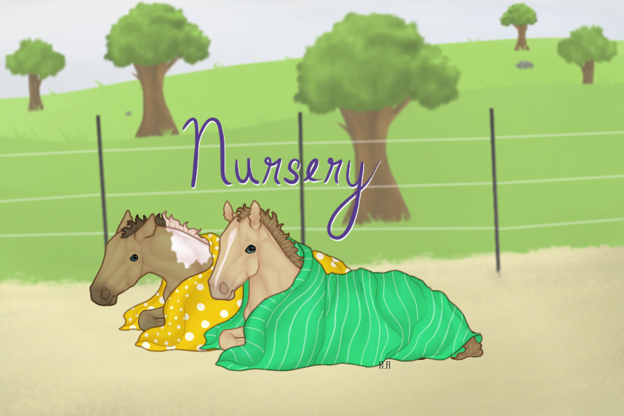 LONE BASHKIR CURLY HORSES | NURSERY