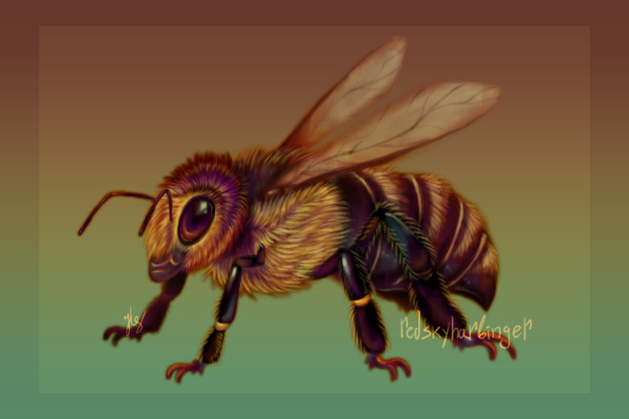 mildly inaccurate bee study