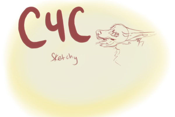 C4C - Sketchy