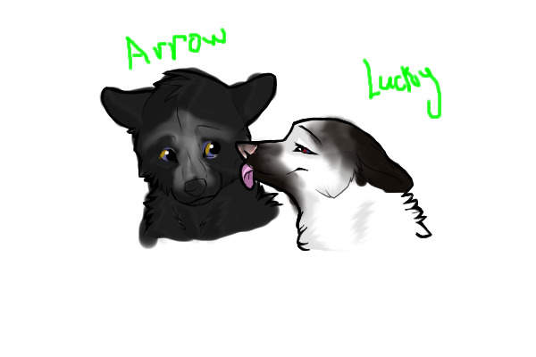 The story of arrow and lucky...