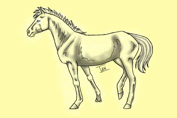Icewing