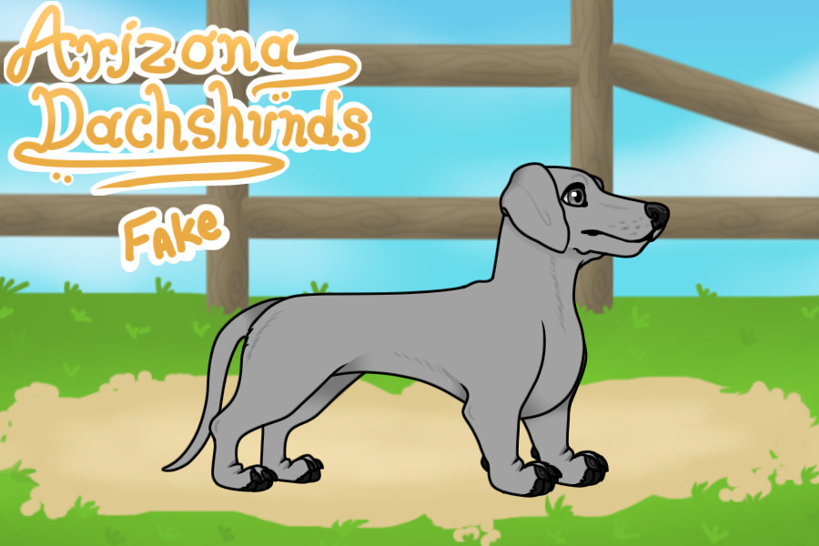 Arizona Dachshunds Artist Search