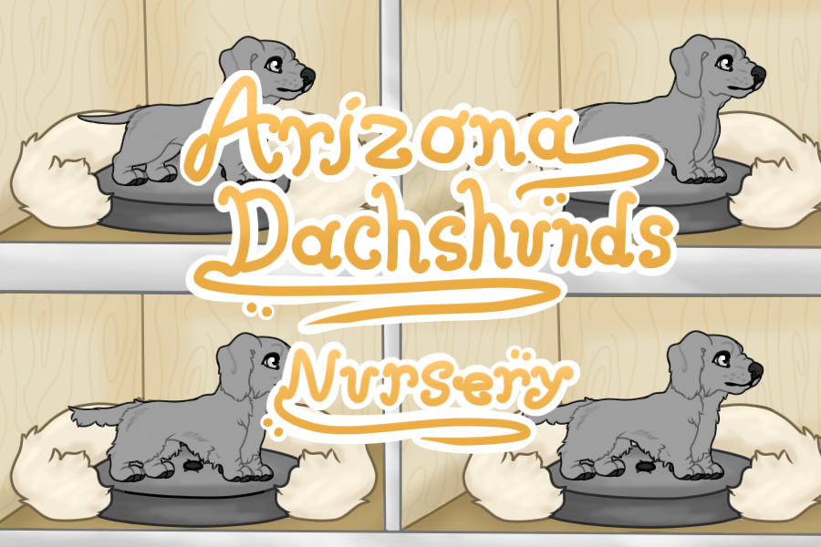 Arizona Dachshunds Nursery