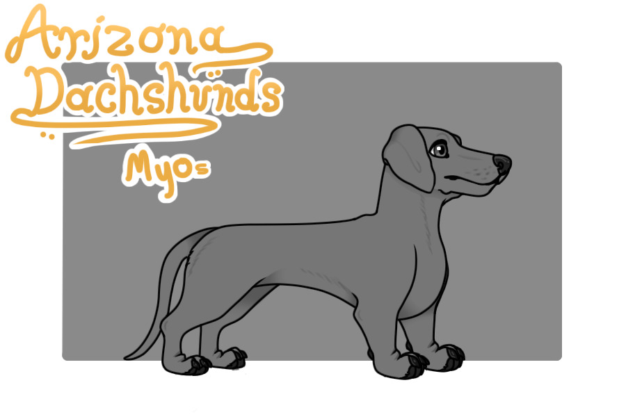 Arizona Dachshunds MYOs
