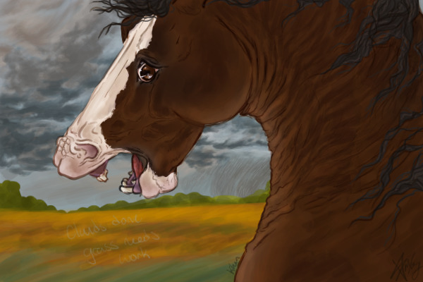 StormBorn
