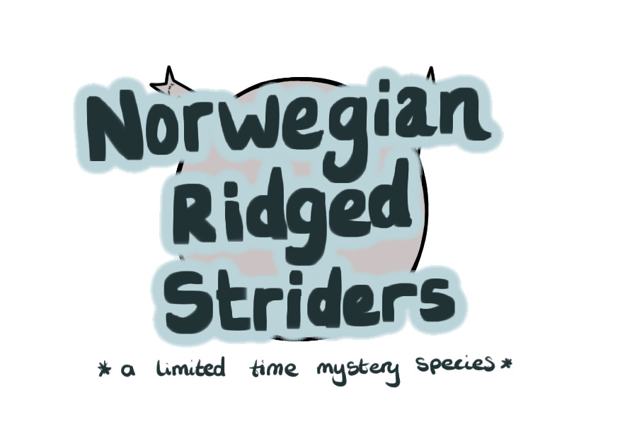 Norwegian Ridged Striders - Limited Time Species