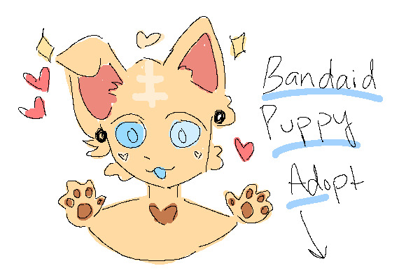 bandaid puppy adopt