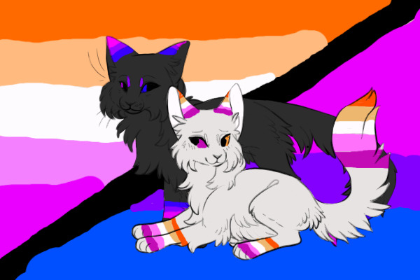 Gay kitties