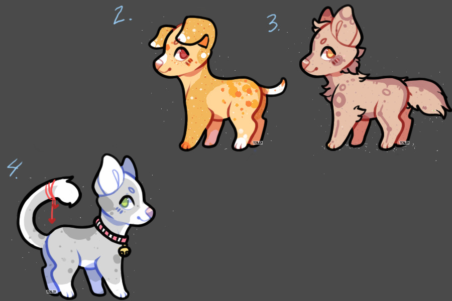 leftover pup adopts