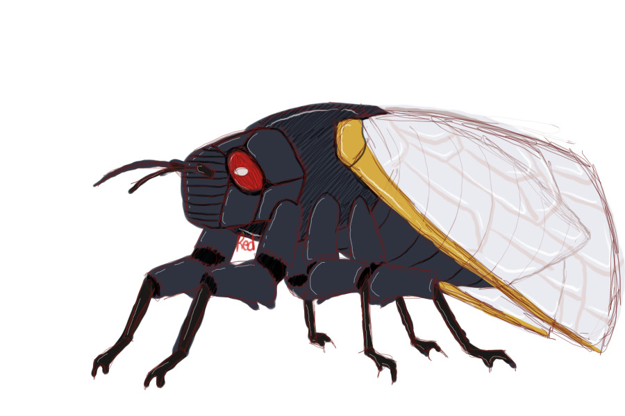 Cicada Time