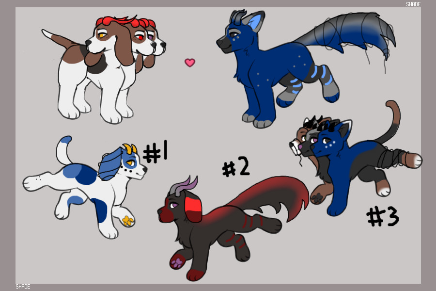 CheekyImp pups (Open for Adoption!)
