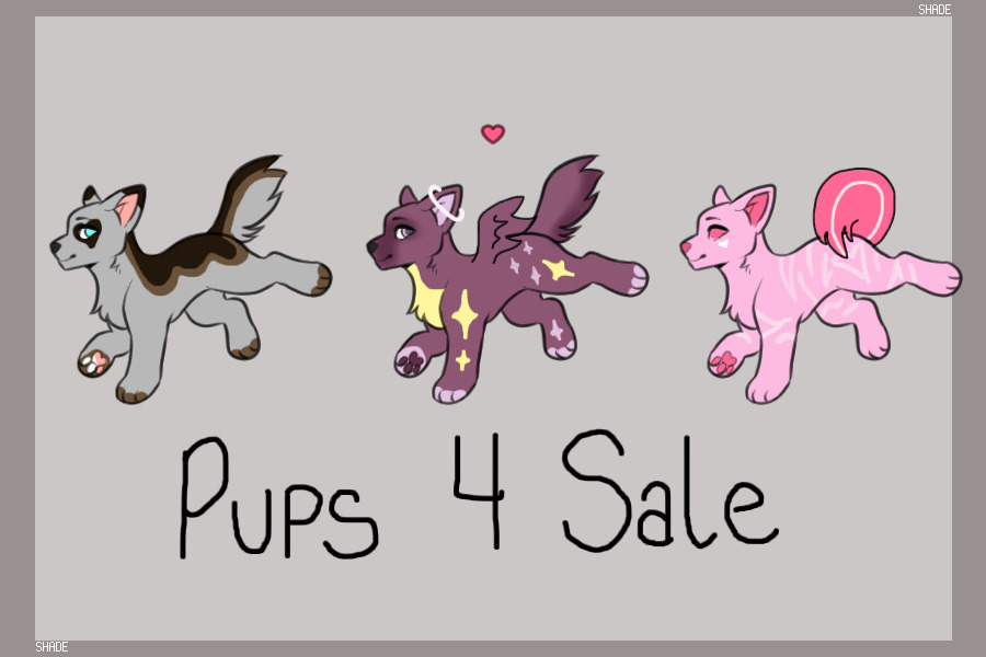 Pup Designs for Sale!