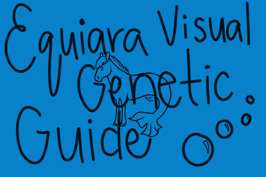 ༄ Equiara Hippocampus Visual Genetic Guide ༄