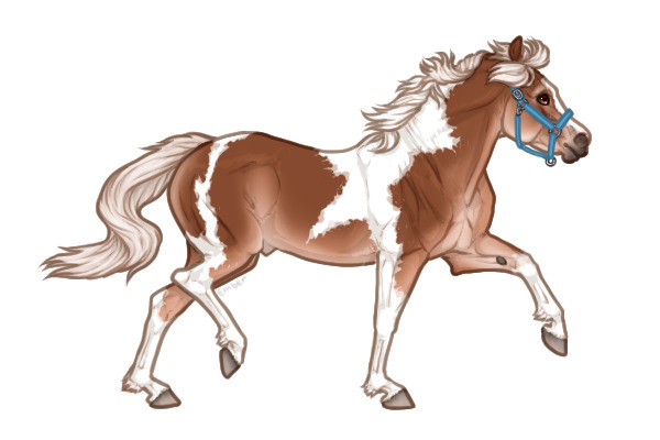 Ferox Welsh Pony #778