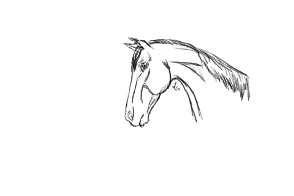 Quick Horse Sketch