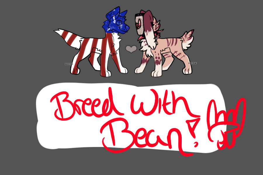 meh flag dog :O